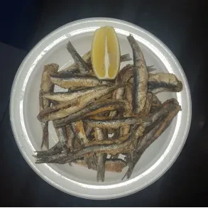 Fast Food Fritolin