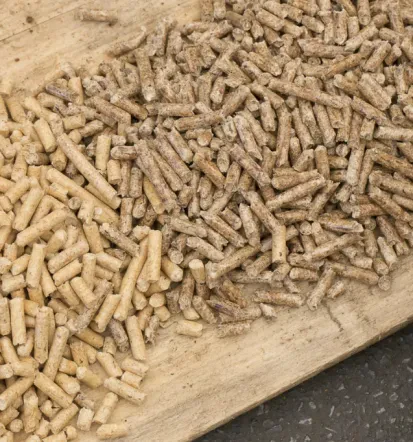 Fornitura all'ingrosso di legname in Slovenia, faggio, carpino, quercia e acacia