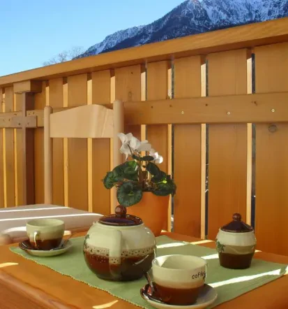 Apartments and rooms in Kranjska Gora