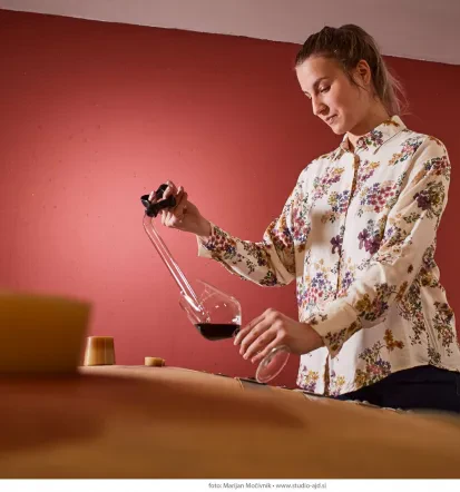 Wine tasting Slovenian coast