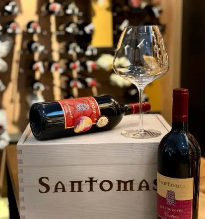 Wine tasting Šmarje