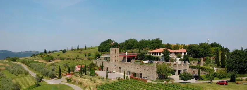 Wine tasting Slovenian coast