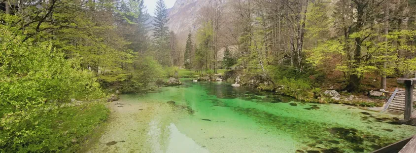 Private guided tours Bled, Gorenjska