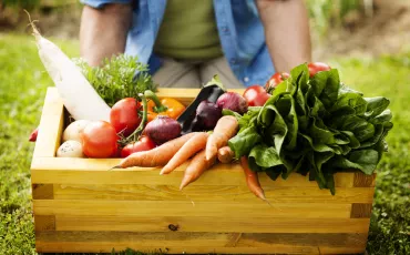 Erntezeit: Feldfrüchte im Fokus