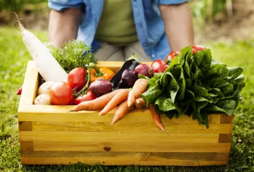 Erntezeit: Feldfrüchte im Fokus